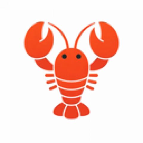 ClawHub 中国官方镜像站